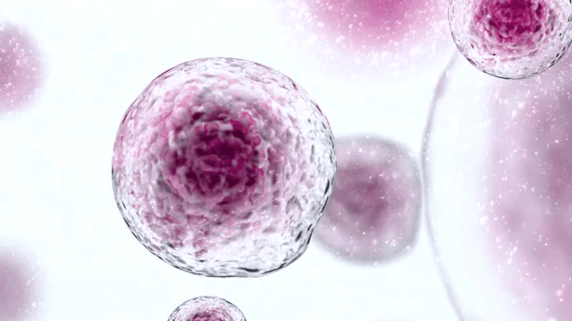 The Cell System: Building Ministry Through Cell Development thumbnail